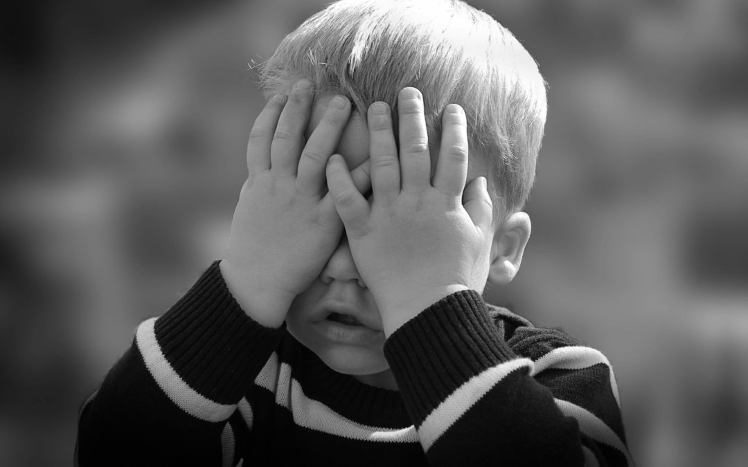 The “two-year crisis”… or rather the autonomy phase?